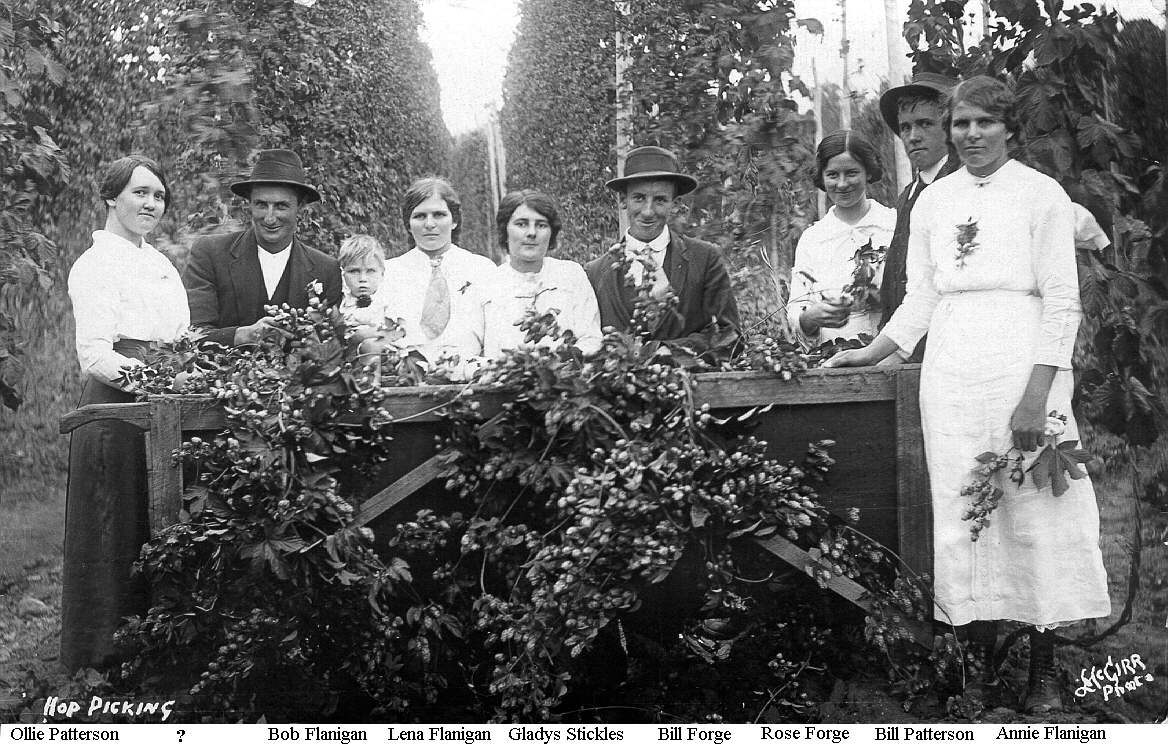 Hop Picking Springvale