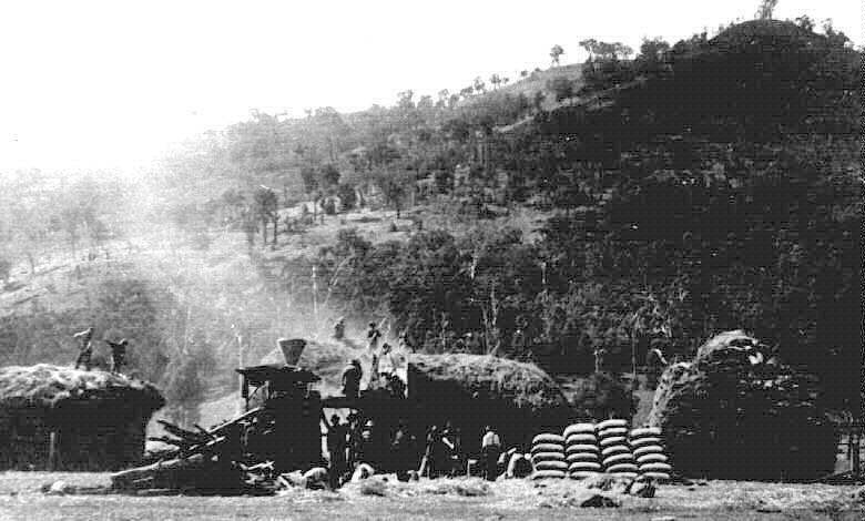 Tanners thresher